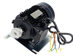 Мотор двухскоростной 380В для 4640 NORDBERG CT-DJ-0344123 - фото 77194
