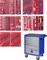 Набор инструментов "ПРОФИ" в синей тележке, 299 предметов МАСТАК 52-05299B - фото 64564